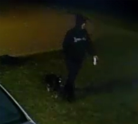 Picture of theft suspect